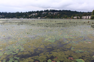 Sunset on Lake Washington, Seattle, USA