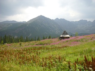 mountain landscape in the tatra
