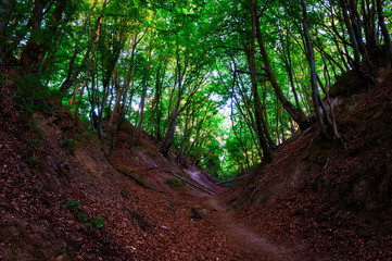 Lisi Jar © Paweł Mielko