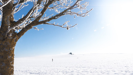 Fototapeta na wymiar paisaje nevado mujer caminando