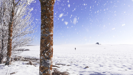 Fototapety na wymiar - Fototapeta24.pl