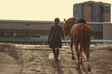 Rider woman with the horse are walking in a stable outdoors for dressage training