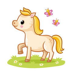 Little cute foal with a golden mane standing in the meadow with butterflies. Vecton illustration with a horse