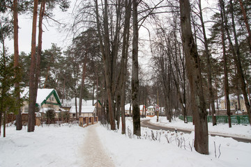 winter in the park