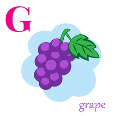 G is for grape illustration alphabet 