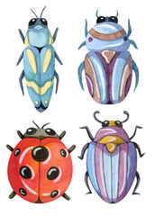 Hand painted watercolor cartoon beetles. Funny colorful and cute insects and bugs.