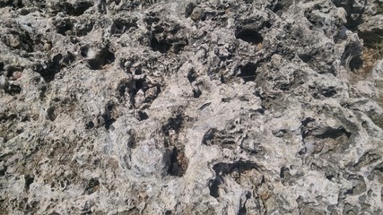 Dry and weathered coral closeup, for texture or background