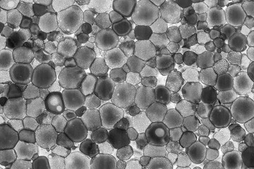 Texture of lighted foam layer