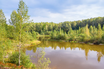 Muddy lake in the forest in autumn