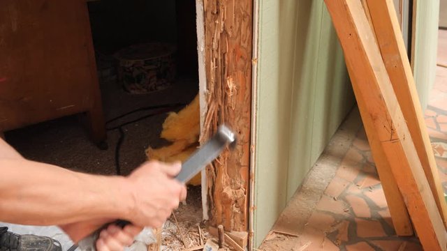A carpenter tearing out wood damaged by termites in a home