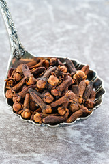 Whole cloves in a spoon - closeup with selective focus