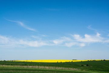 Spring. Yellow field in the village and beautiful sky.Beautiful landscape in yellow and blue.Business activities and fields sown