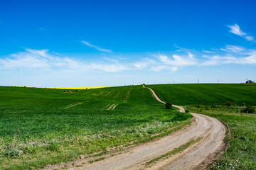 Fototapeta na wymiar Spring. Yellow field in the village and beautiful sky.Beautiful landscape in yellow and blue.Business activities and fields sown