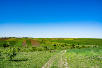 Fototapeta na wymiar Spring. Yellow field in the village and beautiful sky.Beautiful landscape in yellow and blue.Business activities and fields sown