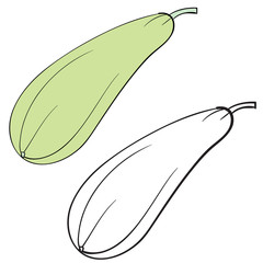 zucchini in color and without color in the contour, isolated object on a white background, vector illustration,