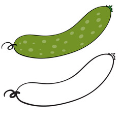 cucumber in color and without color in the contour, isolated object on a white background, vector illustration,