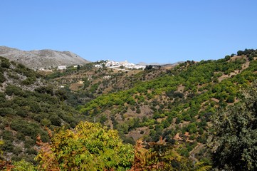 Fototapeta na wymiar View of whitewashed village (pueblo blanco) and surrounding countryside, Cartajima, Andalusia, Spain.