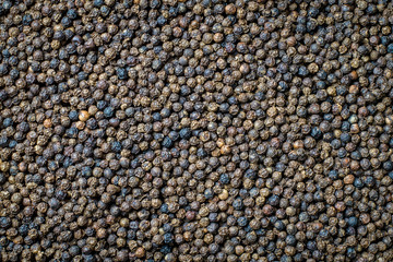 Black peppercorns for background , dry organic product in Thailand , spice in use cooking