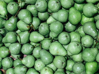 lots of ripe green pears for cooking a background