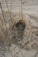 fishing nets on the beach