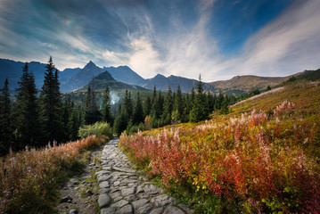 Szlak na Hali Gąsienicowej w Tatrach prowadzący do schroniska Murowaniec - obrazy, fototapety, plakaty