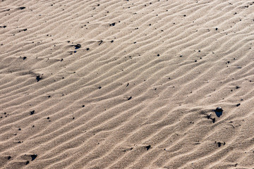 footprints in the sand