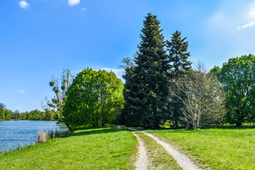 Spring walk on the weekend in beautiful nature.