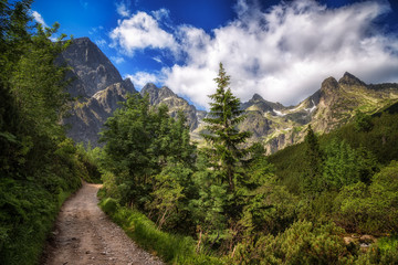 Szlak prowadzący Zieloną Doliną Kieżmarską w Tatrach słowackich - obrazy, fototapety, plakaty