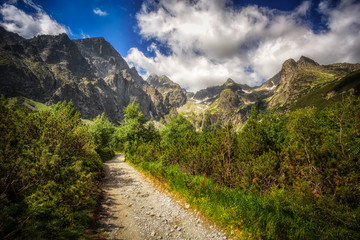 Szlak prowadzący Zieloną Doliną Kieżmarską w Tatrach słowackich