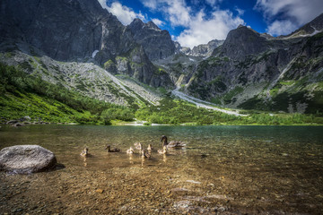 Fototapeta na wymiar Zielony Staw Kieżmarski w Tatrach Wysokich, Słowacja