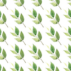 Seamless floral pattern in vintage style. Leaves and herbs. Botanical illustration. Boxwood, seeded eucalyptus, fern, maidenhair.