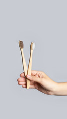 Hand hold two bamboo eco tooth brushs. White and brown color. Dental care. Morning oral routine. Grey background. Copy space. Washing prevention hygiene. Vertical