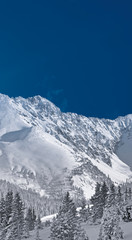 Winter Alpine Landscape