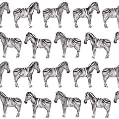 Fototapeta na wymiar Zebra seamless watercolor pattern on a white background. Ideal for wallpaper, wrapping paper, textile, fabric design.