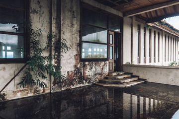 photo of the room of an abandoned building