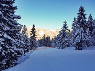 Fototapeta na wymiar verschneite Skipiste in den Alpen