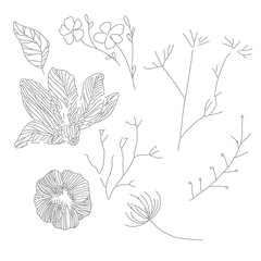 A close up Set of contour cute flowers and twigs in doodle style without shading and black strokes. Coloring book antistress. Isolated on white background. Stock vector illustration. eps 10