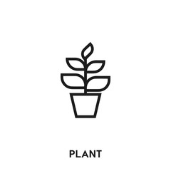 plant icon vector. plant sign symbol