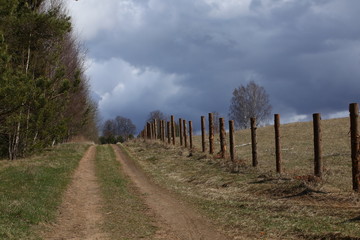 A rural dirt road uphill between a forest and a field with wooden posts with a cloudy blue sky on the horizon.Suburban landscape.Russia