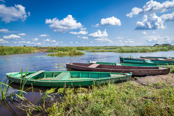 Pychowka, traditional wooden push boats on a braided channel of River Narew in Waniewo village,...