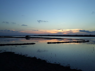 Fototapeta premium The bluish sunset
