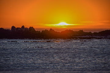 Fototapeta premium Ocean Sunset