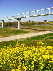 ガス導管の架かる春の江戸川河川敷風景