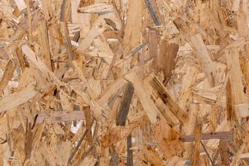 plywood texture close up.
pressed wooden panel background, seamless.