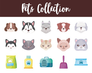 set of icons with domestic animals and accessories