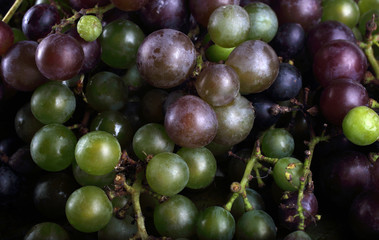 Different color grape