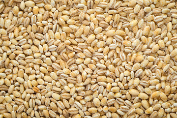 Barley grits, close up as natural food background