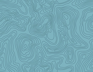 Seamless Topographic Map Patterns