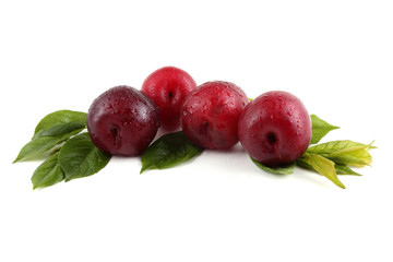 Plums and leaves