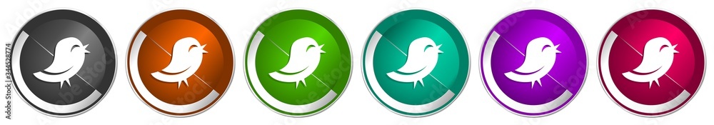 Leinwandbilder twitter icon set, silver metallic chrome border vector web buttons in 6 colors options for webdesign